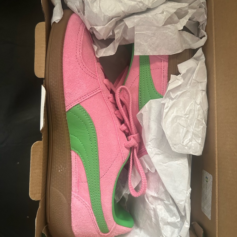 Pink and Green Women’s Puma Palermo